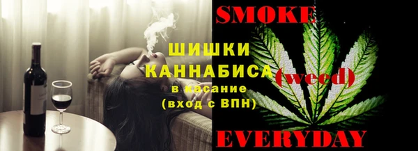 мдпв Козельск
