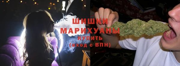 дживик Козловка
