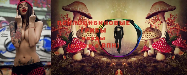 МДПВ Кодинск
