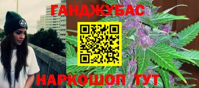мяу мяу мука Гатчина