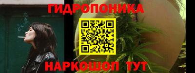 индика Гусев