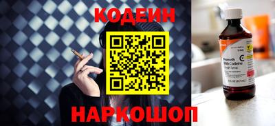 индика Гусев